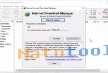 idm-silent-6-38-build-8